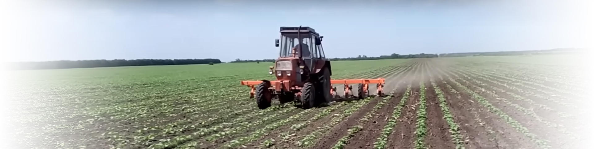 nonius-заставка-на-сайт-Recovered-Recovered