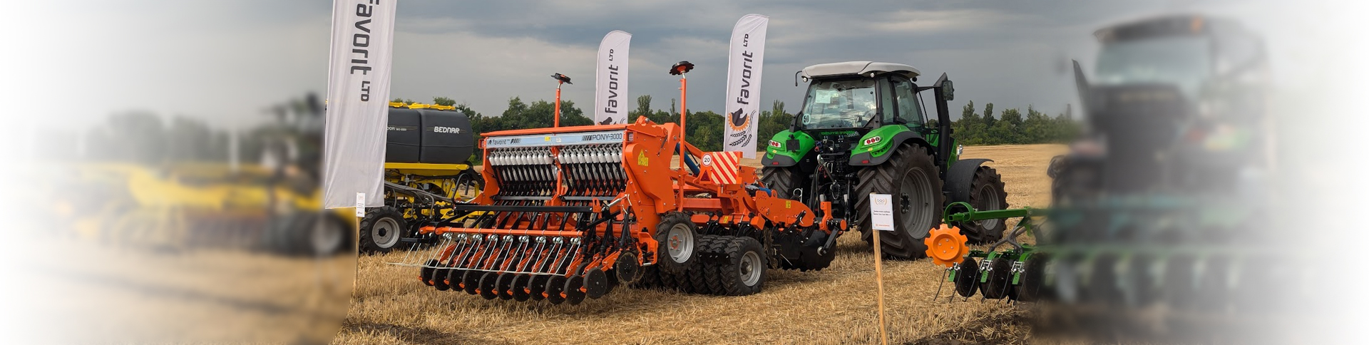 поні-тарпан-2